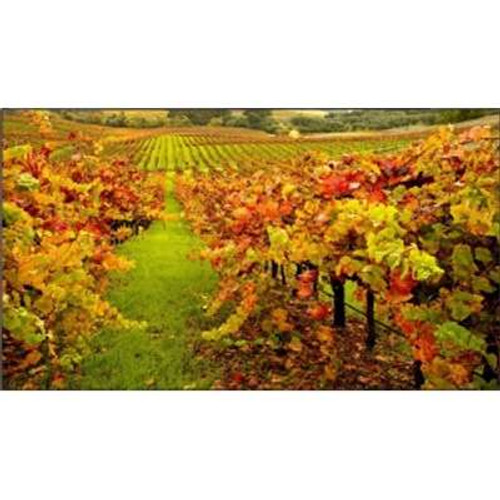 NEC Display SolutionsX554UN-TMX9P - NEC X554UN-TMX9P (955" X554UN Displays & Mounting Kits for A 3X3 Video Wall