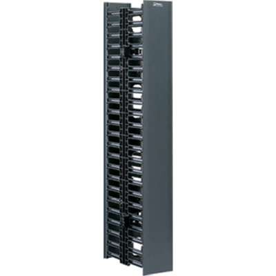 PANDUITWMPV45E - Panduit 12-24 THRD Equip Meeting Rail with FRT RR Manager