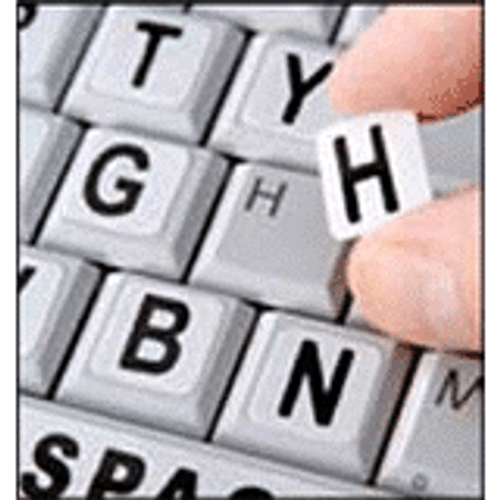 Viziflex Seels Inc 4.21E+106 -  IBM SK8821 73P5220 Keyboard Cover