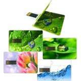 Idol Memory BC390916CNA12 -  12-pack Ultra-Thin USB Card 16GB Nature Theme Assortment