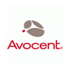 Avocent 1YSLV-SVSC0650 AVOCENT Silver Support - 1 Year Extended Warranty - Warranty - 12 x 5 Next Business Day - Maintenance - Physical Electronic ServiceNext Business Day - Replacement