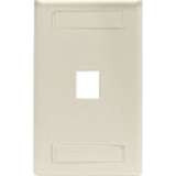 Black Box WPT456 - GIGASTATION2 Wallplate SGNG 1