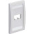 PANDUITCFPE2WHY - Panduit V Faceplate 2 Port Single Gang Executiv