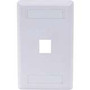 Hubbell IFP11W - Plate Wall Flush 1-G 1 Port White