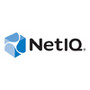 NetIQ 32148CSV000IUS - Service and SupportHourly Principal Architect