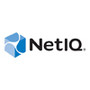 NetIQ 32152CSV000IUS - Service and SupportHourly Principal Architect Expenses Inclusive