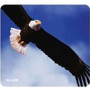 Allsop 29303 - Bald Eagle Mouse Pad
