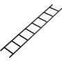 Black Box RM650 - Ladder Rack 6&#8242; x 12&Quot; (1.8 M