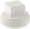 2" PVC DWV Cleanout Plug (MPT)