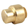 SharkBite 1/2" Brass Push-Fit End Cap / End Stop (Lead Free)