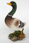 Heaven's Majesty Nativity Mallard Duck - 16"