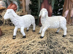 Heaven's Majesty Nativity Lambs - Set of 2 
