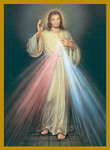 Divine Mercy Living Mass Cards - For Church Use Only