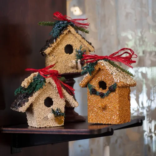 Decorative Edible Birdseed Cottage