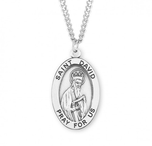Sterling Silver Large Oval St. David Medal - 24" Chain