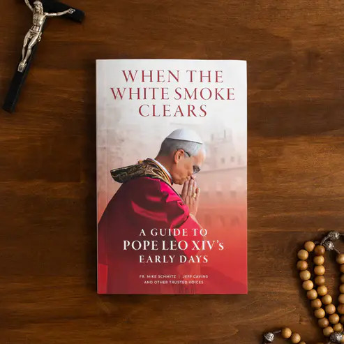 When the White Smoke Clears: A Guide to Pope Leo XIV's Early Days