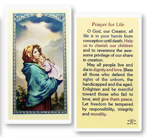 Madonna of the Streets, Prayer for Life Laminated Holy Card