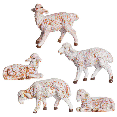 Fontanini Nativity Figures - White Sheep Variety Set - 5" 