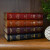 St. Joseph New Catholic Bible - Gift Edition - Large Type Edition