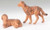 Fontanini Nativity 5" Scale 2pc set dogs 