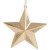 Wishing Star Ornament