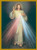 Divine Mercy Living Mass Cards - For Church Use Only