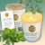 St. Michael Eucalyptus & Mint Candle - 7 oz 