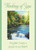 Thinking of You - Box of 25 Cards 