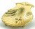 Baptismal shell is 5 1/4" diameter. Silver-ox/lacquer or Gold plate lacquer. 