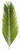 Date Palm - Bag of 4