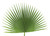 Fan Palm - Bag of 4