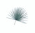 Mediterranean Fan Palm - Bag of 8