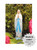 Our Lady of Lourdes Outdoor Cement Garden Statue - 18" or 26"
