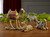 Three Kings Nativity - Basic 4-Piece Animal Set 