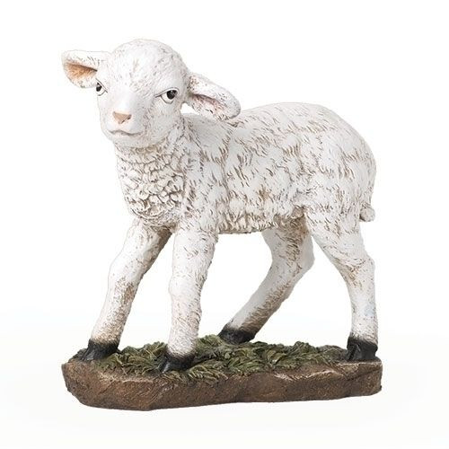 Oversize Lamb For 39