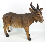 25" Heaven's Majesty Nativity Goat - The Goat is made of fiberglass and resin. This goat is suitable for indoor and outdoor use. This 25" Goat is the perfect piece to add to your 39" Heaven's Majesty Nativity Set (item #53398).  