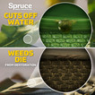 Spruce weed and gas killer cuts off water and weeds die from dehydration.