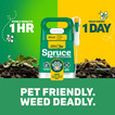 Spruce shows visible results in one hour and kills weeds in one day. Pet friendly. Weed deadly.