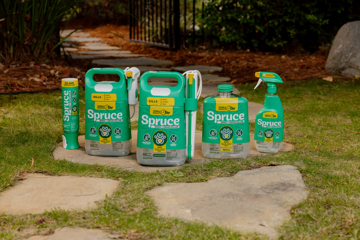 Spruce Family of Products