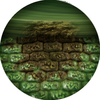 Dehydrated Pant Cells