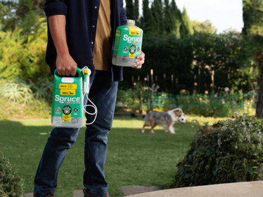 For Anyone & Any Weed