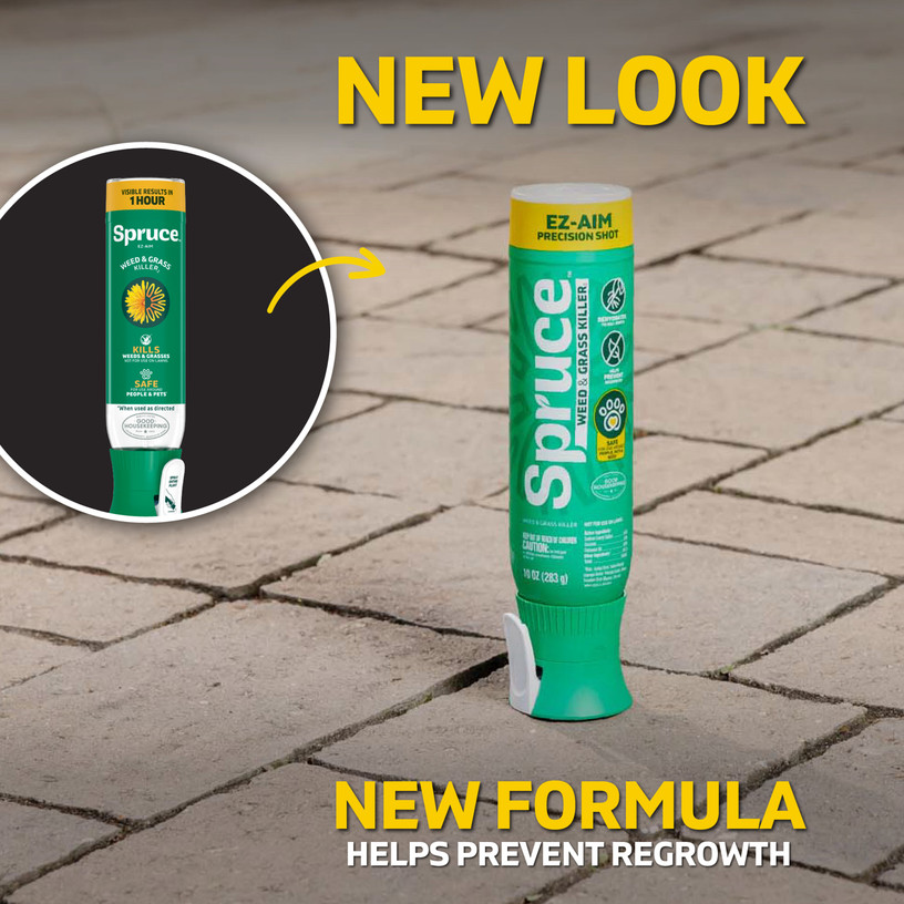 Spruce has a new look, and a new formula that helps to prevent regrowth.