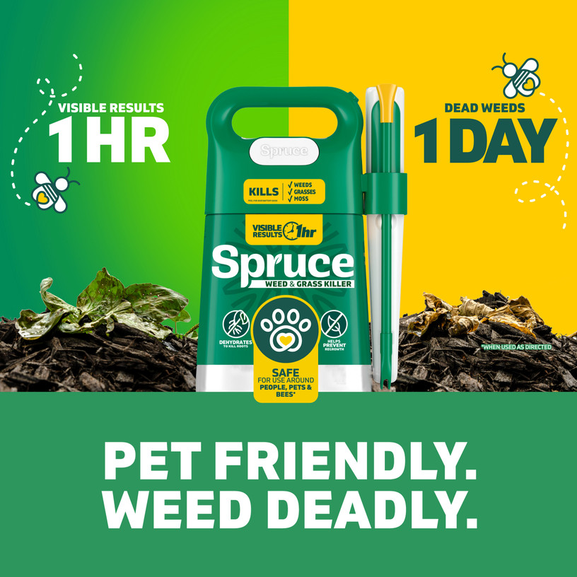 Spruce shows visible results in one hour and kills weeds in one day. Pet friendly. Weed deadly.