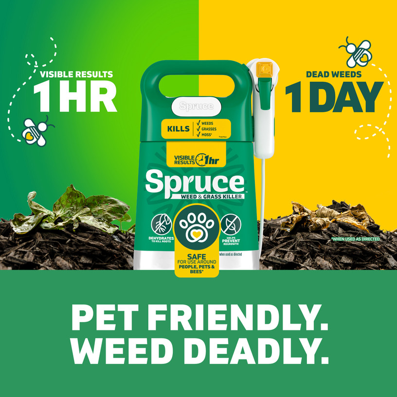 Spruce shows visible results in one hour and kills weeds in one day. Pet friendly. Weed deadly.