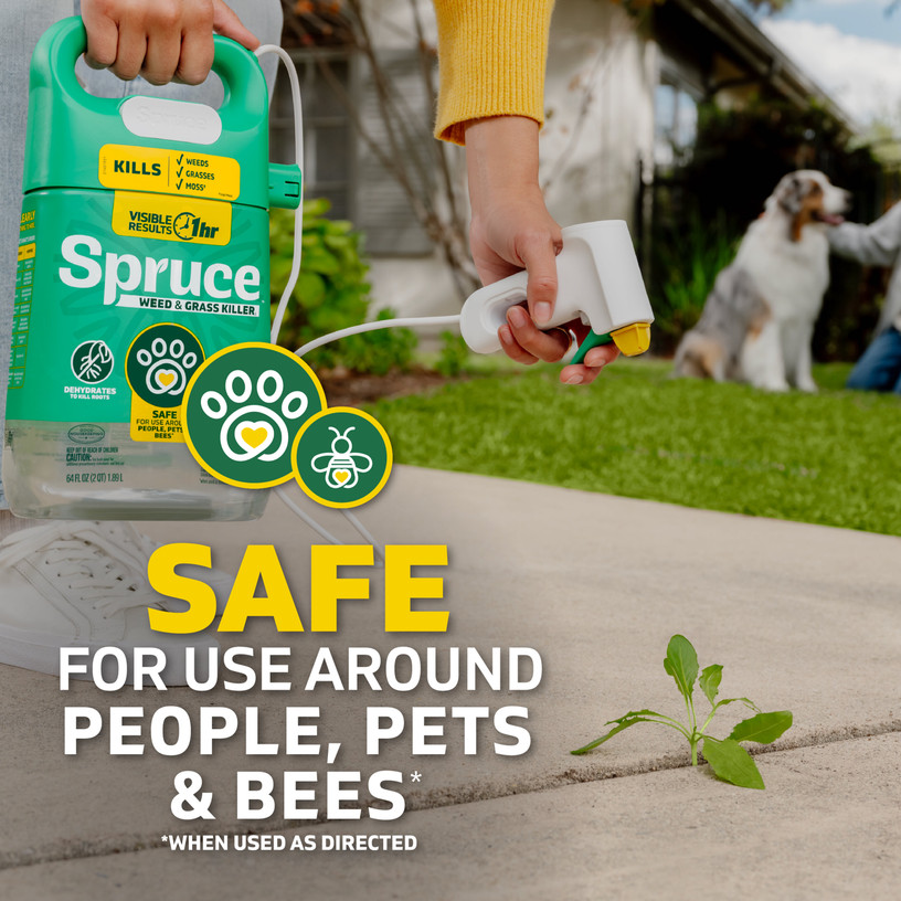 Spruce Weed and Grass Killer is safe for use around people, pets, and bees when used as directed.