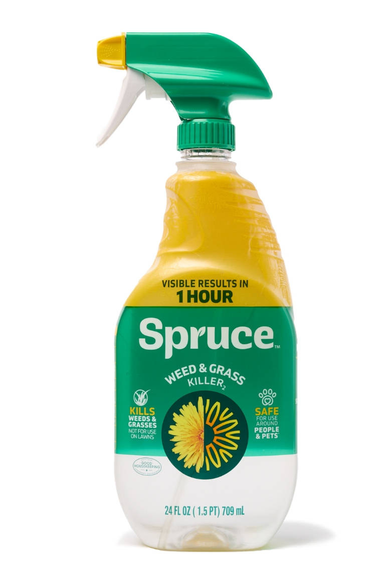Spruce Tree Insecticide Questions - Spruce