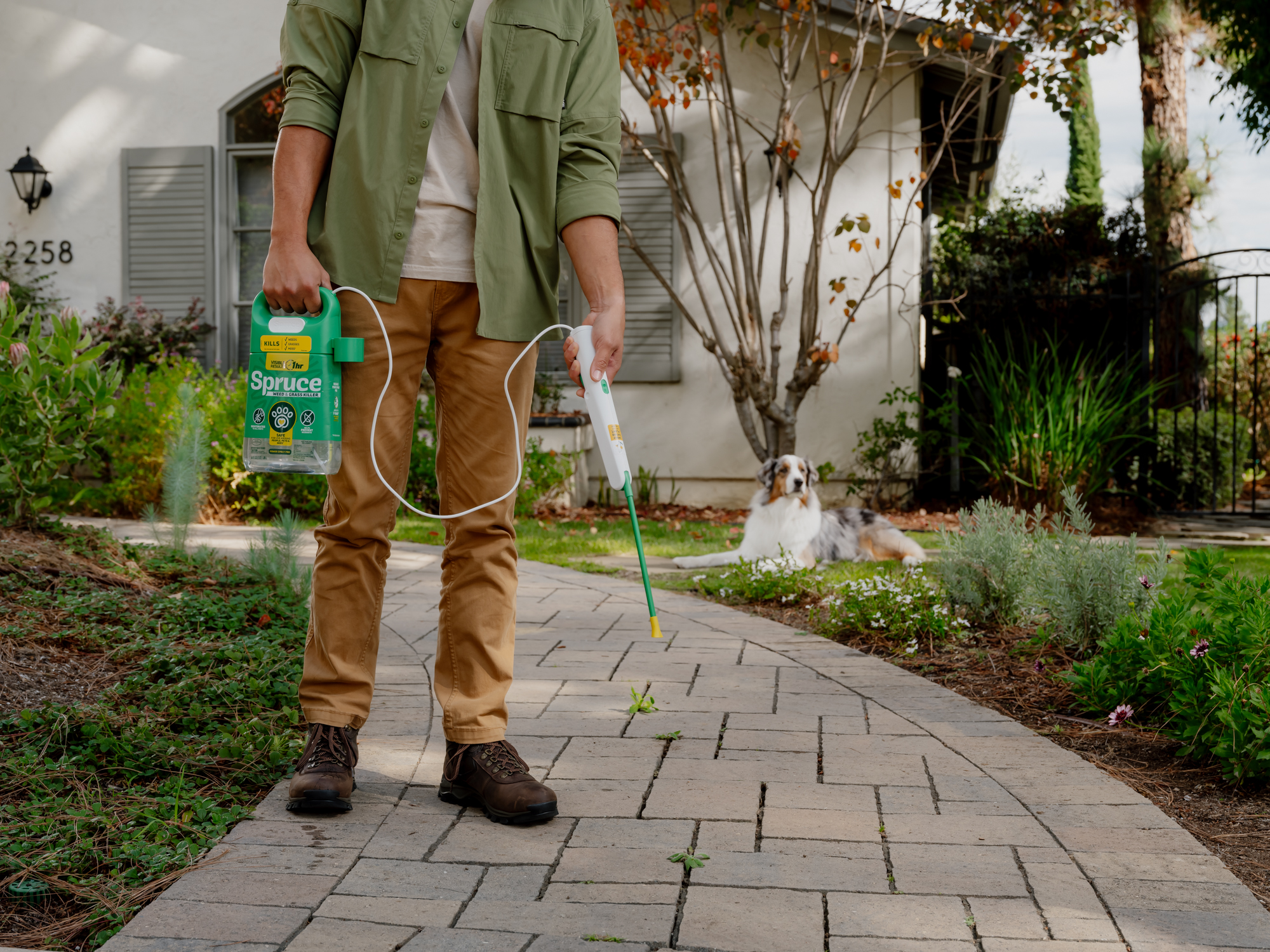 Spruce EZ-AIM Spray and 640z Power Wand