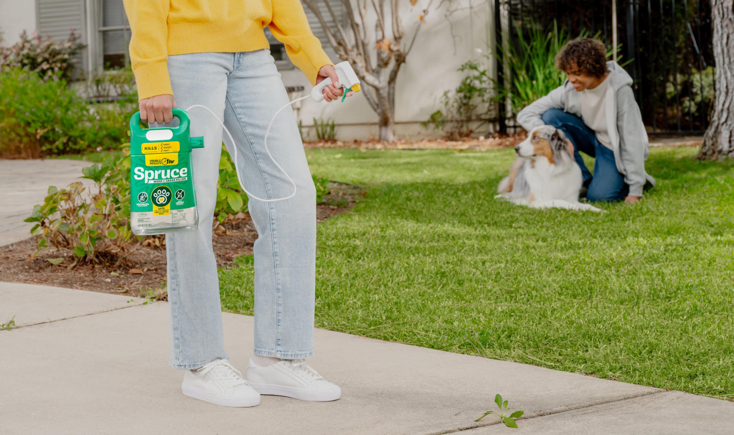 What is a Weed Killer That Is Safe For Use Around Pets?