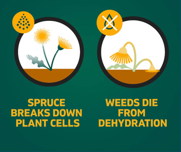 Science of Spruce Weed & Grass Killer