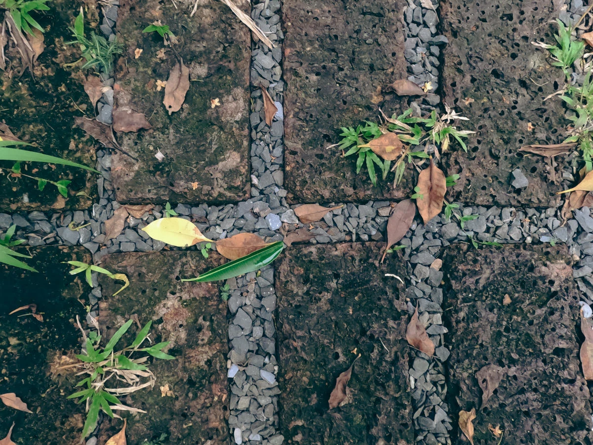 How do you get rid of weeds in pavers and gravel?